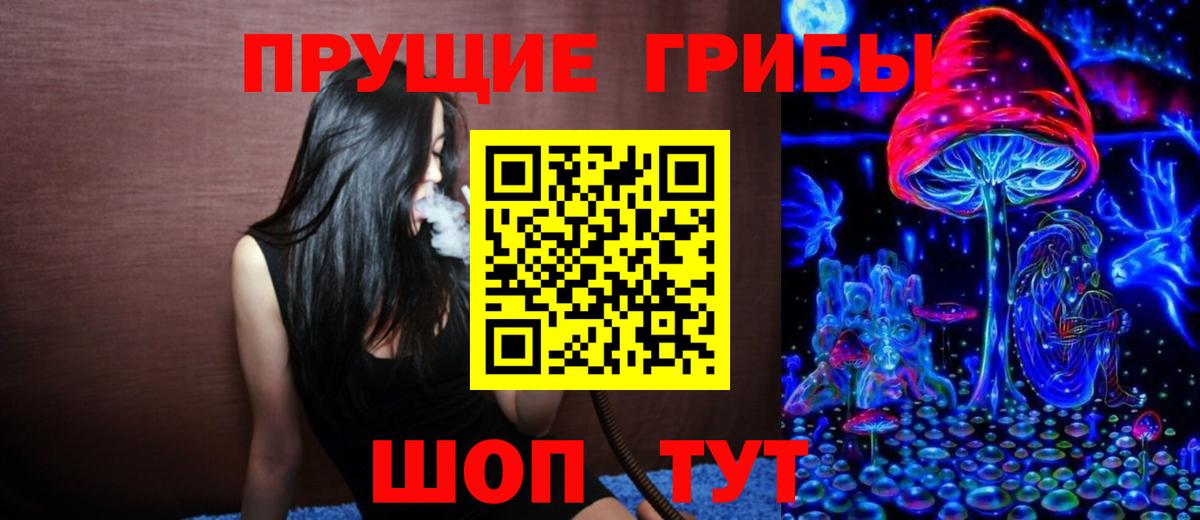 Галлюциногенные грибы Psilocybe  Вход с VPN  Карпинск 
